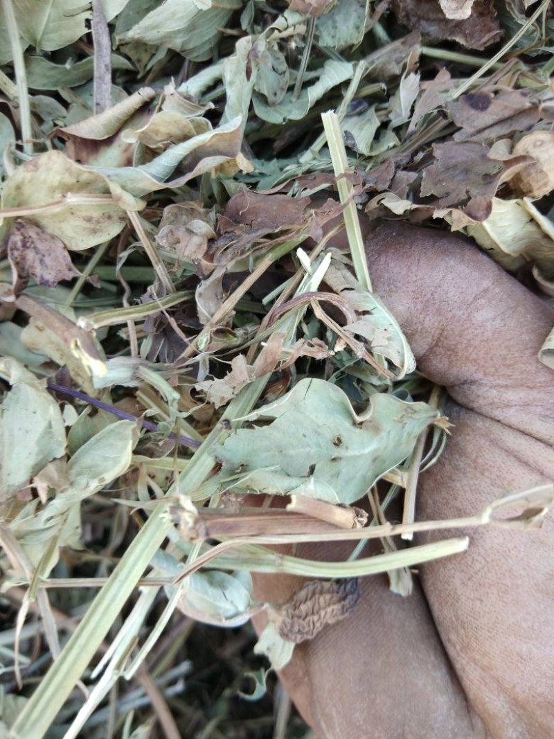 花生秧，羊草，细粉
