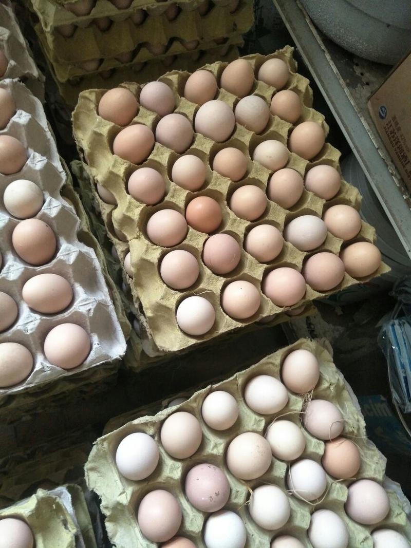 安徽铜陵鸡蛋优质农家土鸡蛋货源充足物美价廉，欢迎电话联系