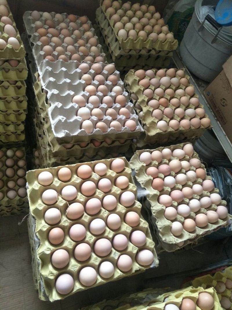 安徽铜陵鸡蛋优质农家土鸡蛋货源充足物美价廉，欢迎电话联系