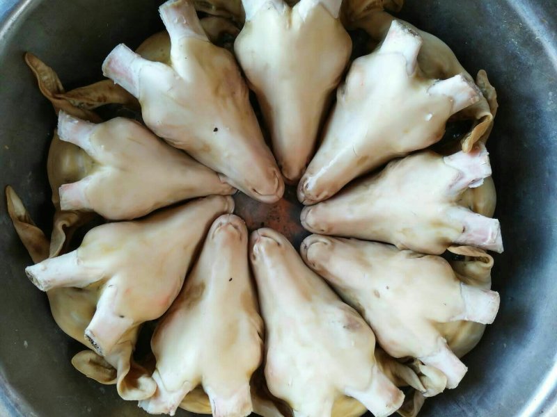 羊头