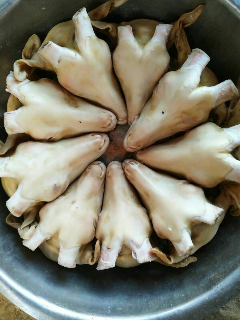羊头