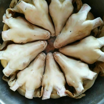 羊头