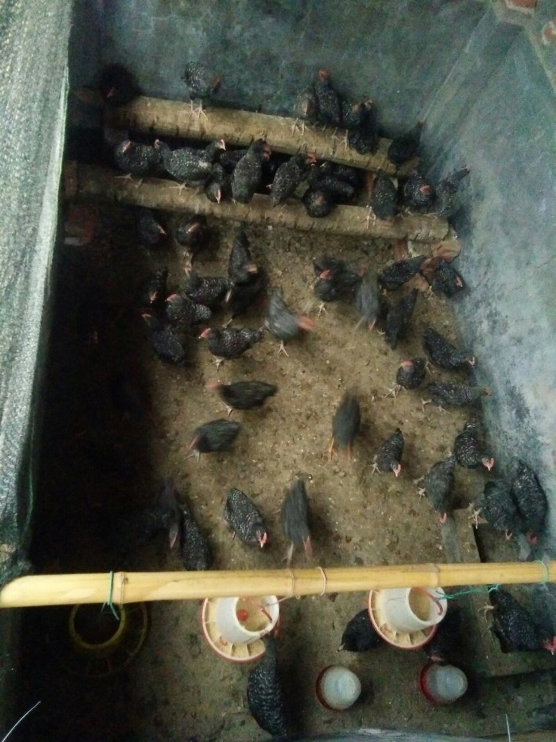 ，