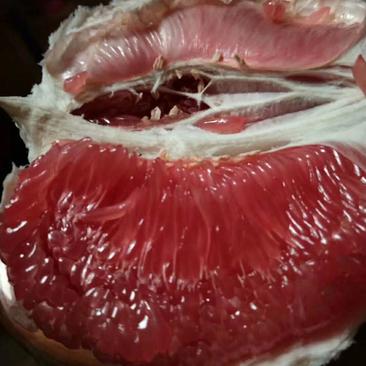 四川红柚白柚市场果外贸果，水份充足味道甜美