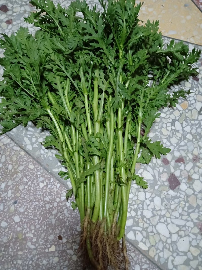 茼蒿