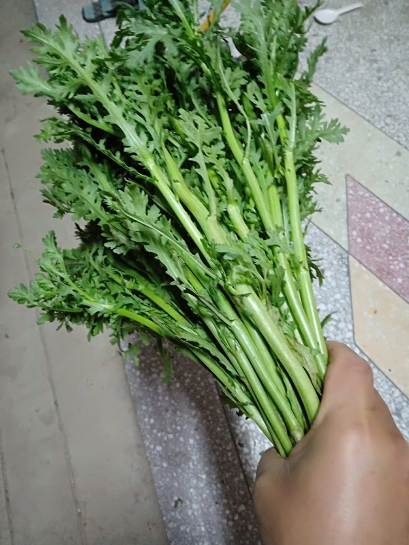 茼蒿