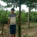 一级树