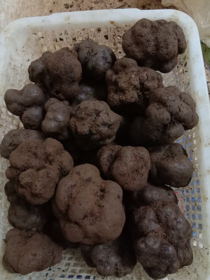 野生特级松露。