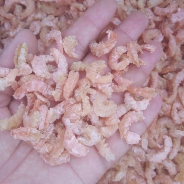 渤海湾小海米，不咸，10分干，做汤包水饺都好吃