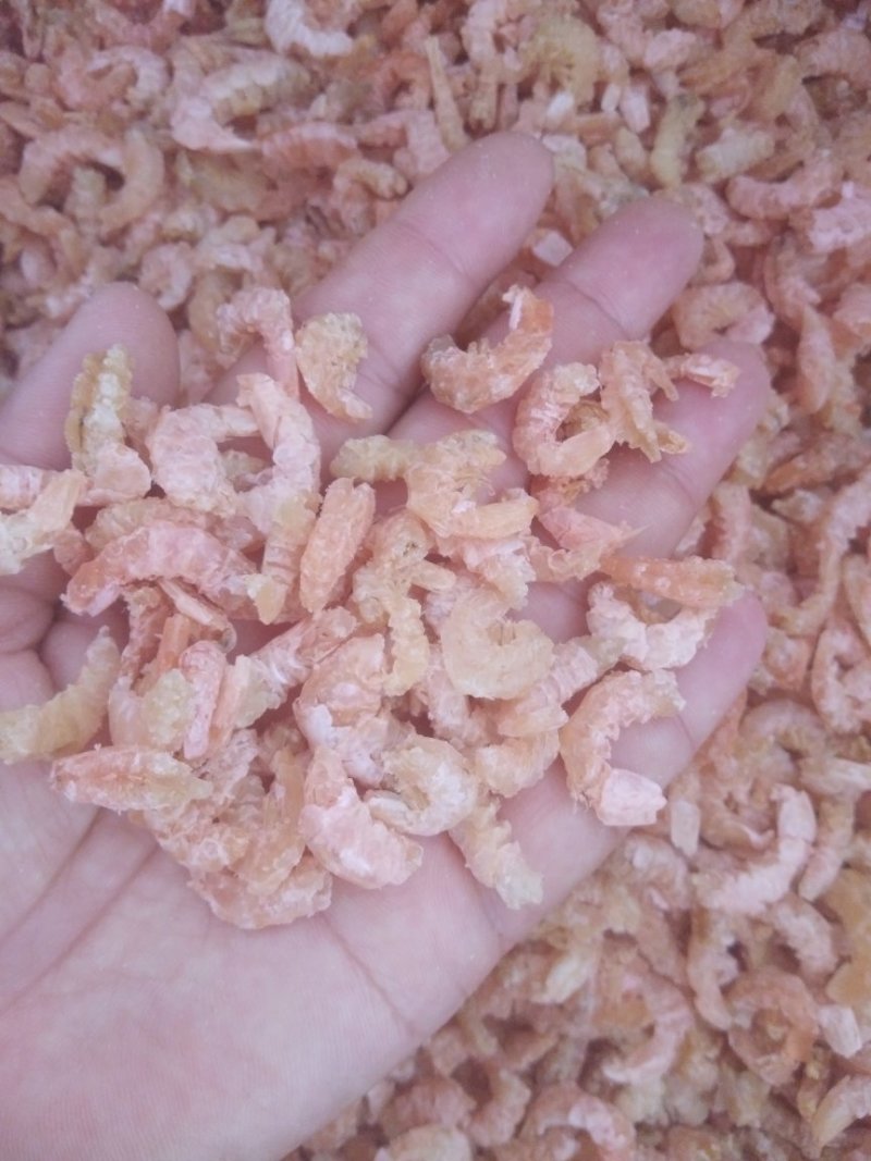 渤海湾小海米，不咸，10分干，做汤包水饺都好吃