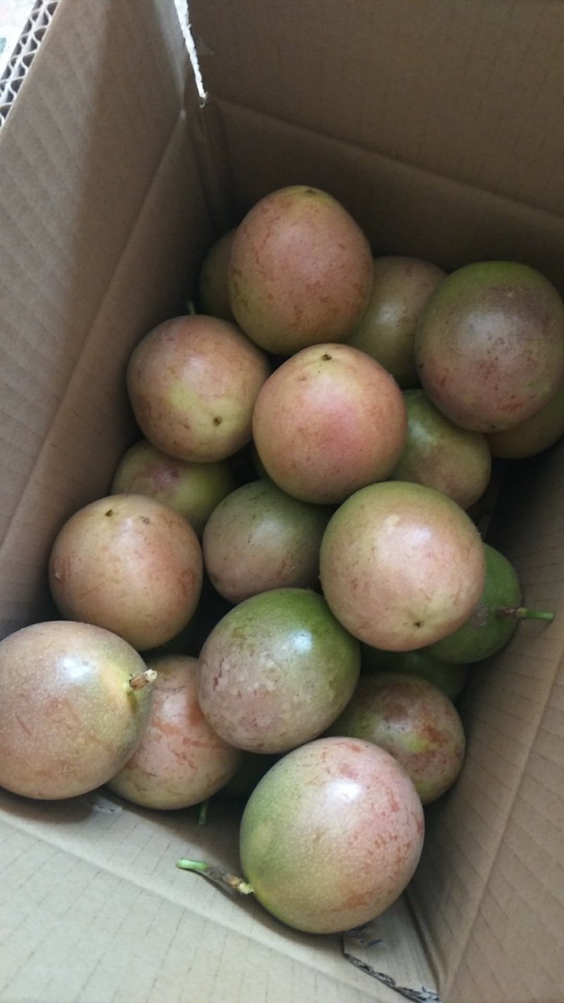百香果