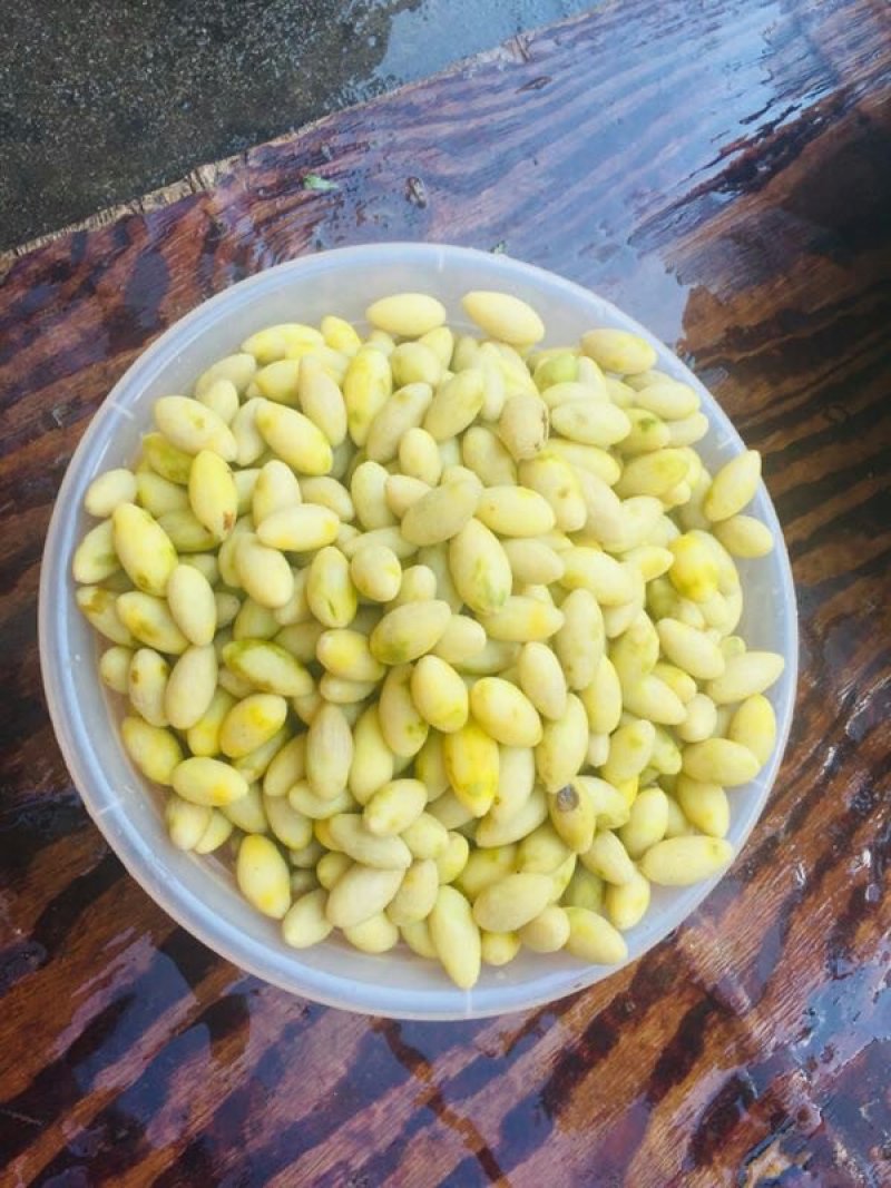 糖醋橄榄