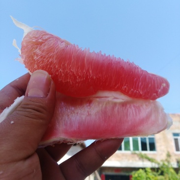 广西柚子，皮薄河池红心柚环江香柚红心蜜柚