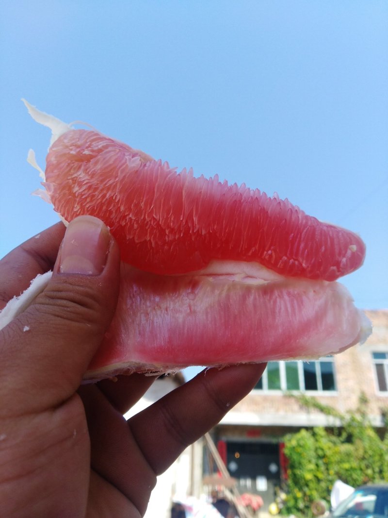 广西柚子，皮薄河池红心柚环江香柚红心蜜柚