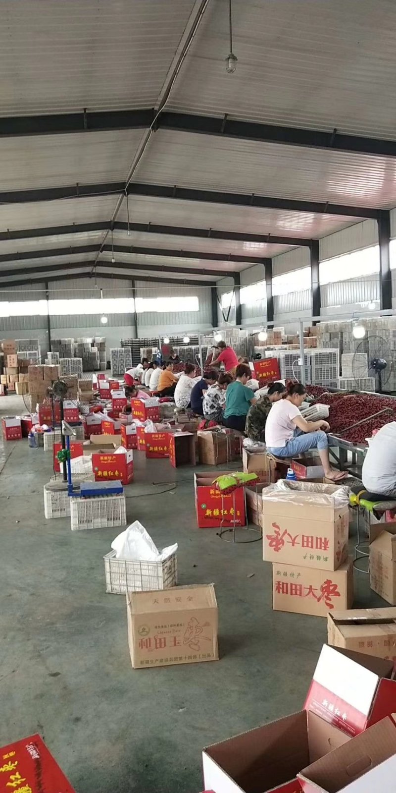 红枣和田大枣加工厂地摊货源供应批发
