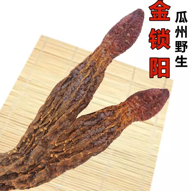 锁阳