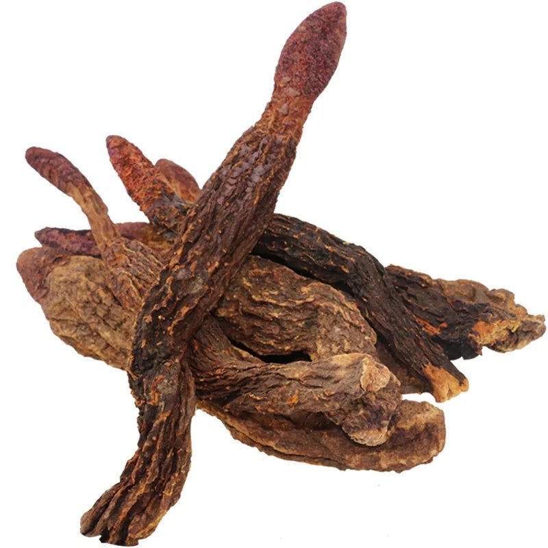 锁阳