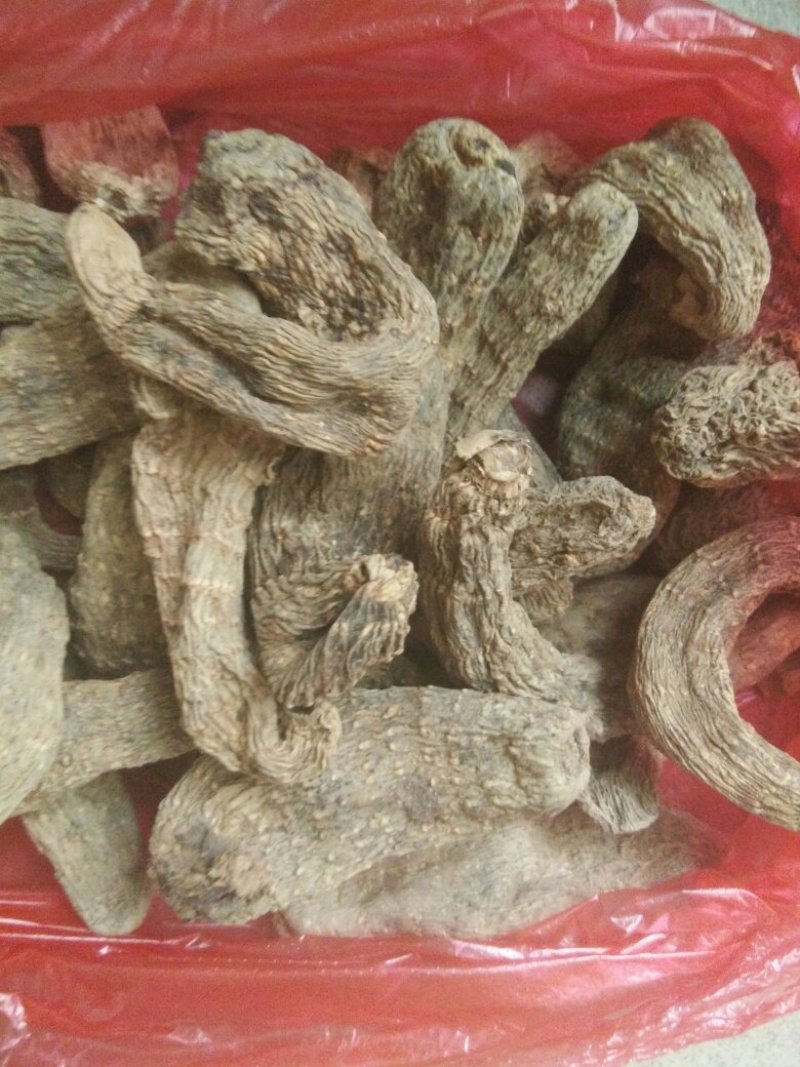 野生天麻