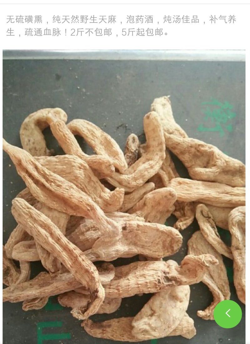 野生天麻