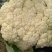 有机菜花低价供货量大价优