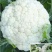 花菜