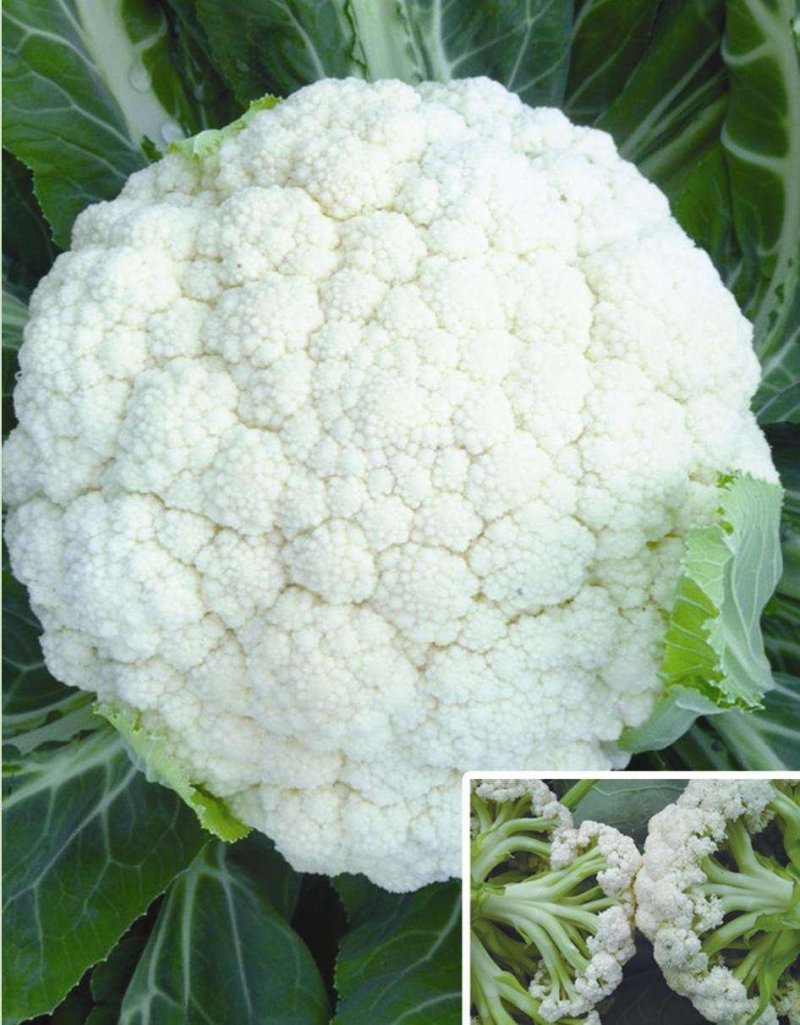 花菜