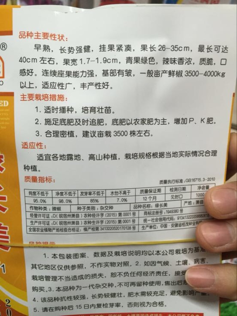 辣椒种子97%以上