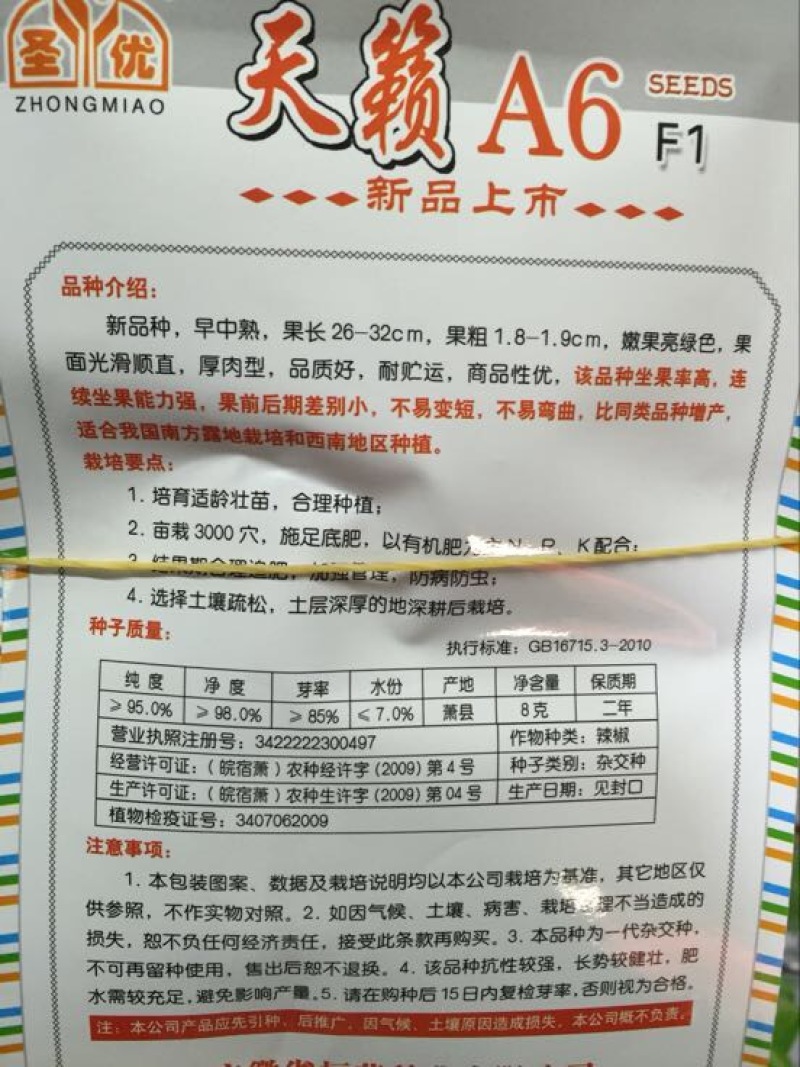 辣椒种子97%以上