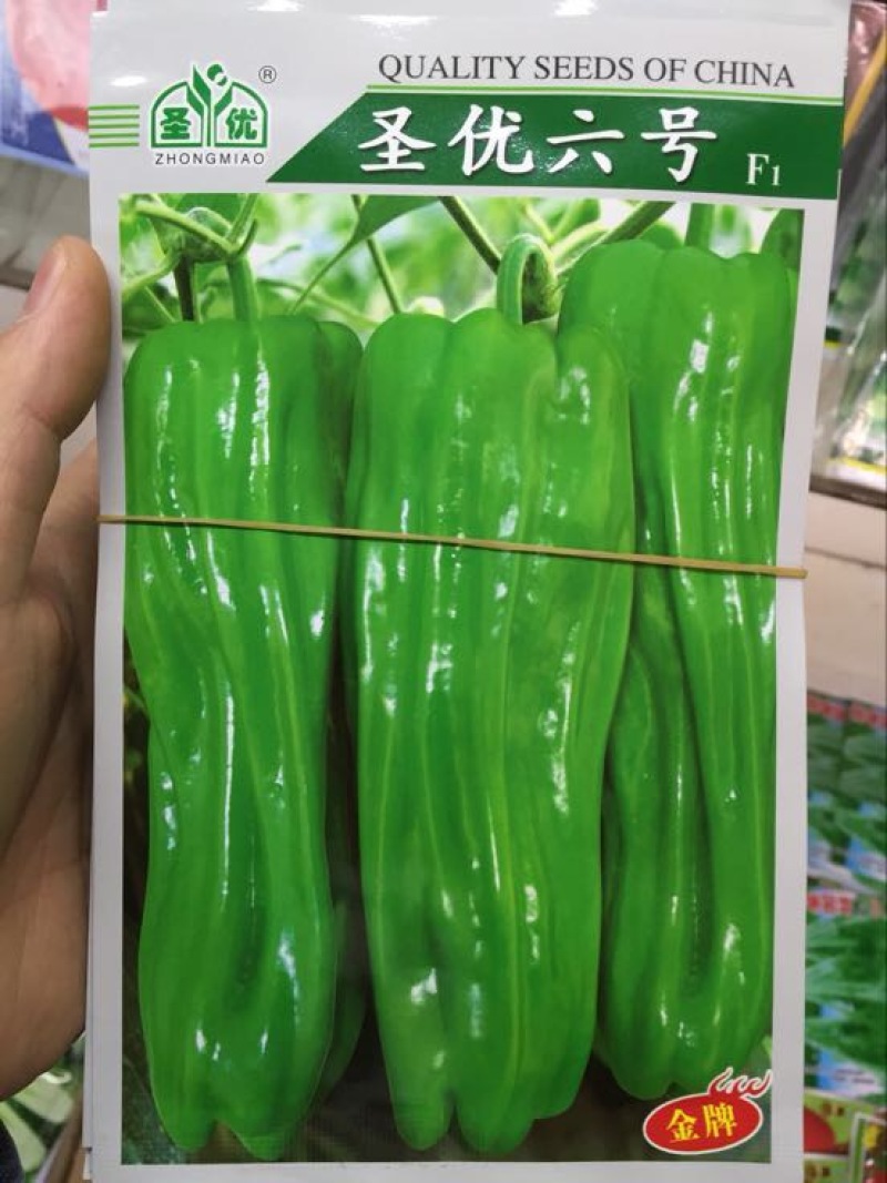 辣椒种子97%以上