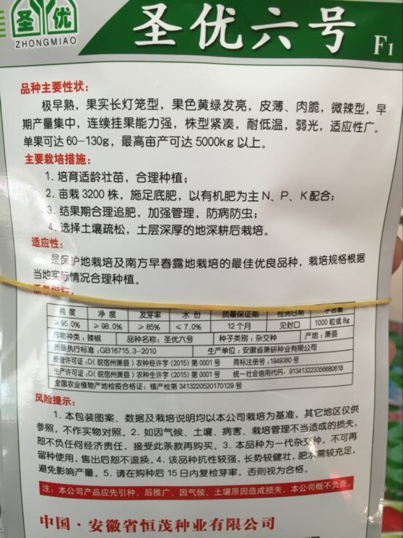 辣椒种子97%以上