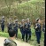 红香椿，