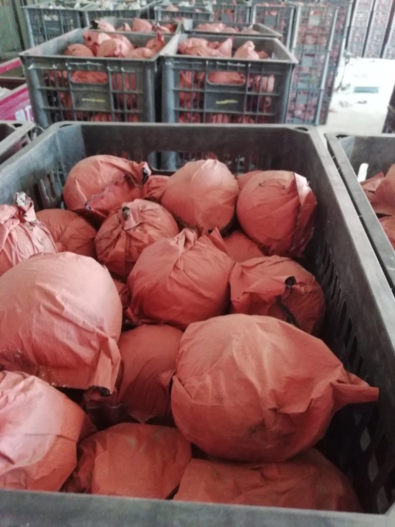 （精品）赵县皇冠梨产地直供适合电商超市市场零