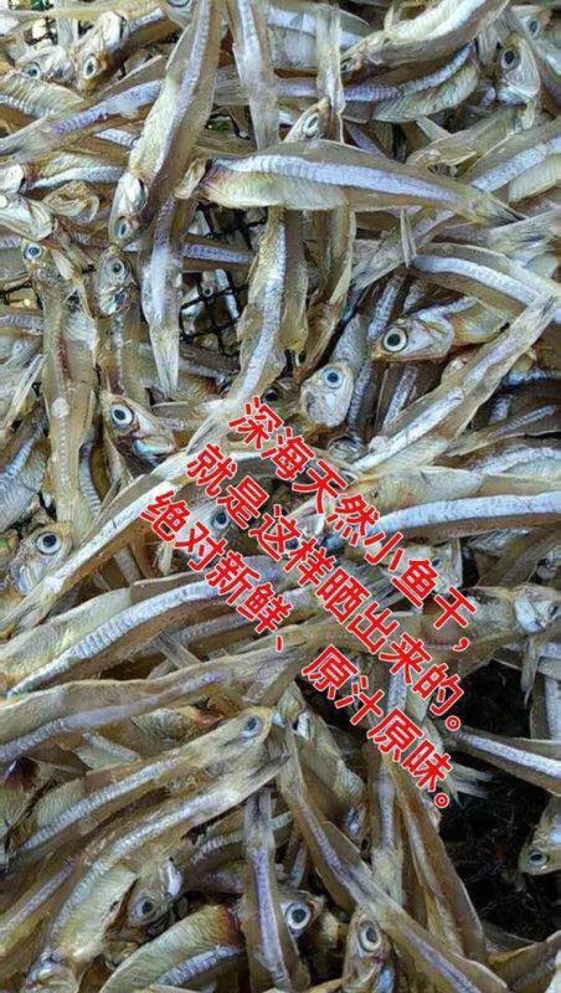 小鱼干餐条鱼深海天然小鱼干跑江湖小鱼仔