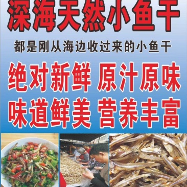 小鱼干餐条鱼深海天然小鱼干跑江湖小鱼仔