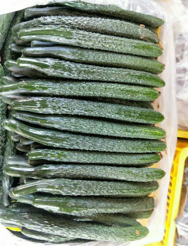 黄瓜