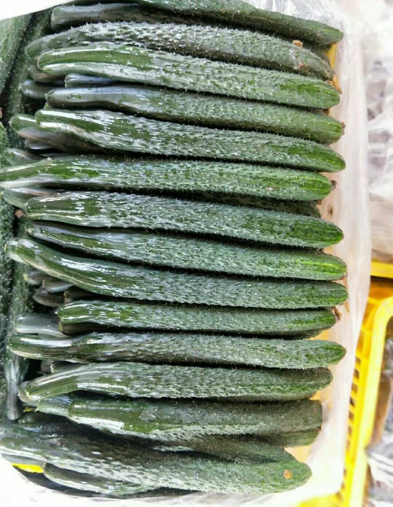 黄瓜