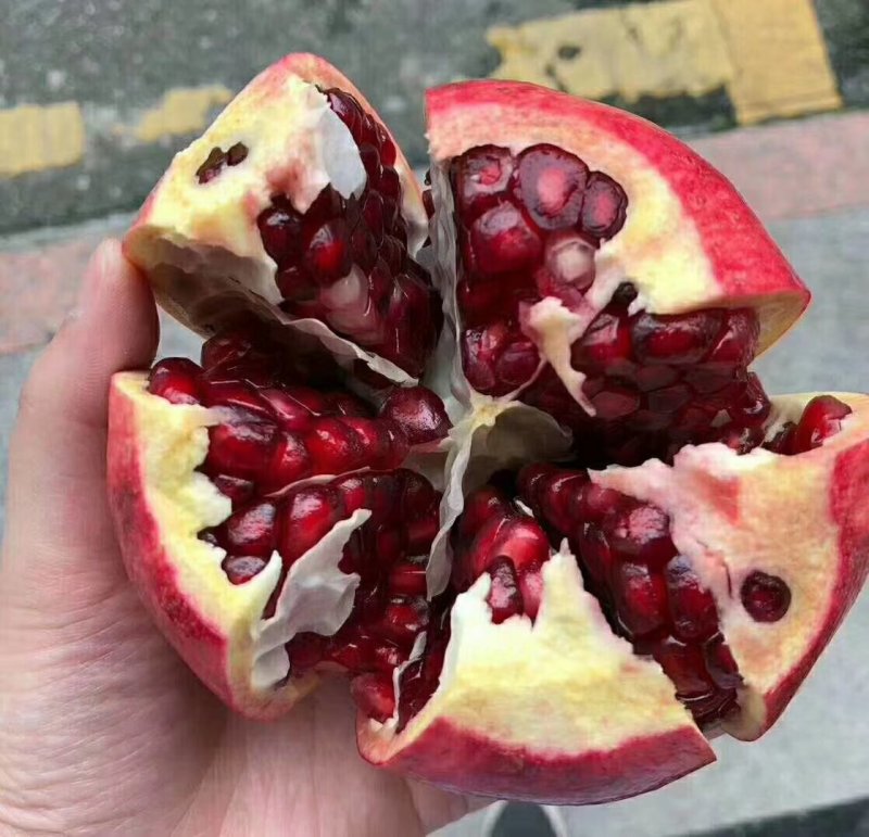 临潼石榴