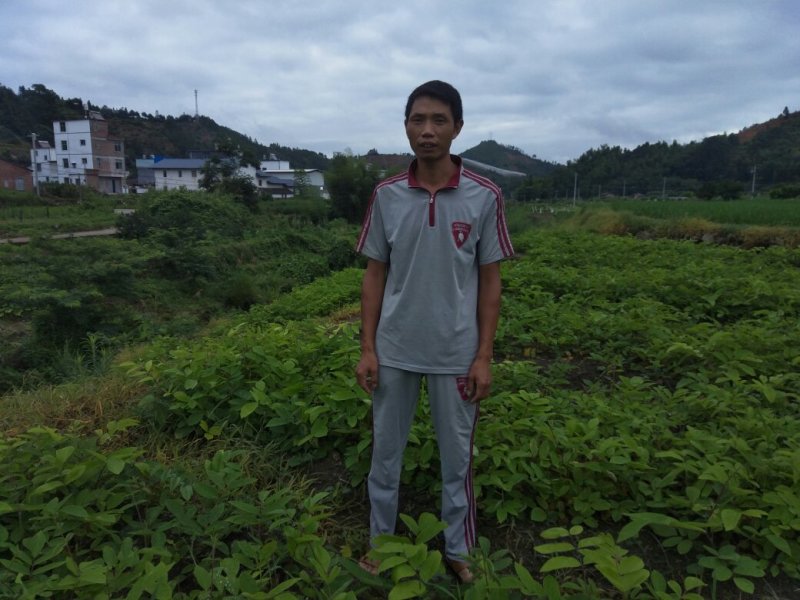 石参俗名黄瓜参、白石参。石参又俗称石参茎，其学名为猫尾草