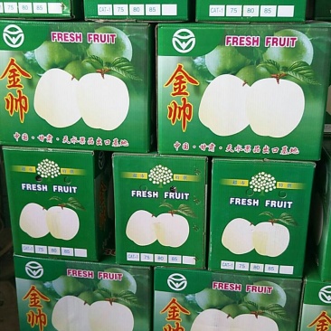 黄元帅装货中。。。。