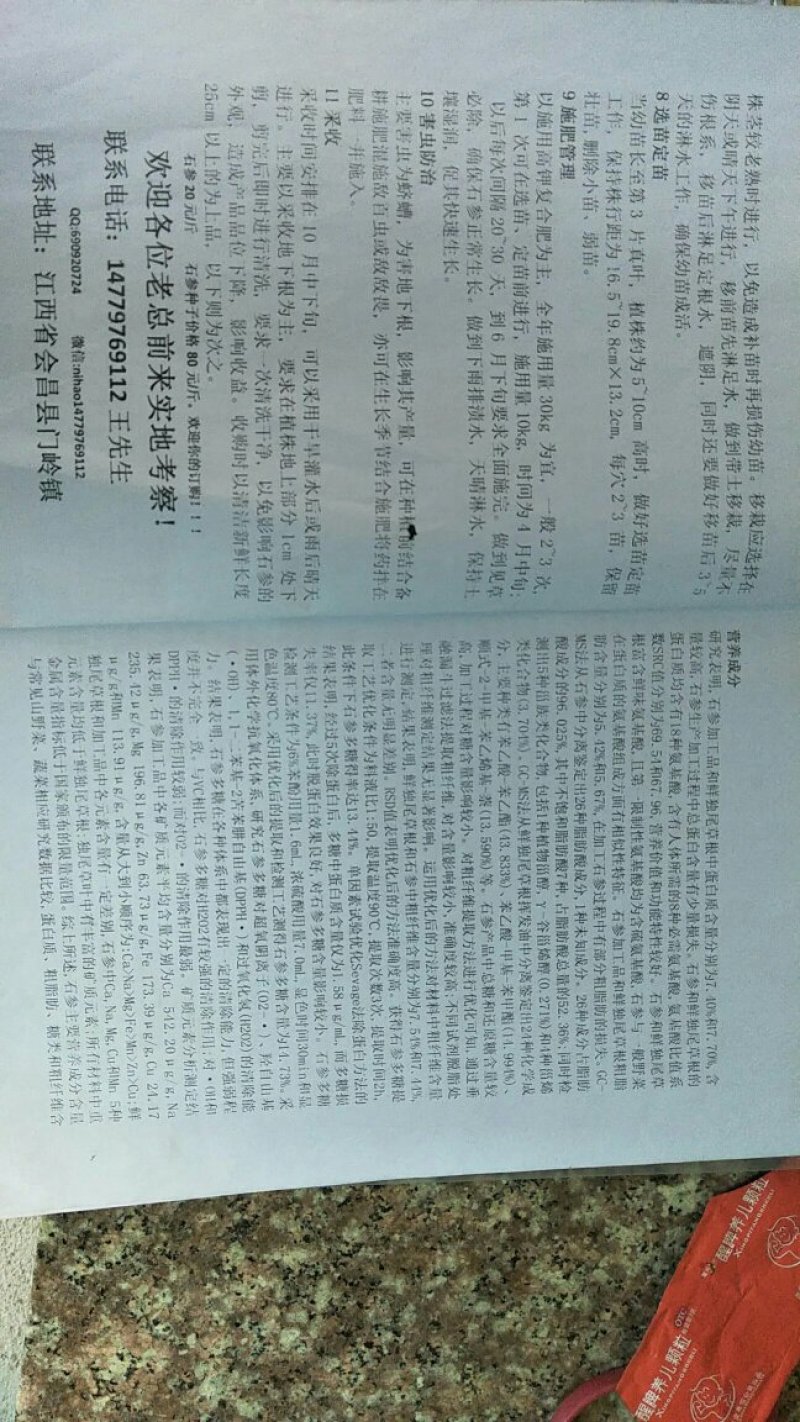 石参俗名黄瓜参、白石参。石参又俗称石参茎，其学名为猫尾草