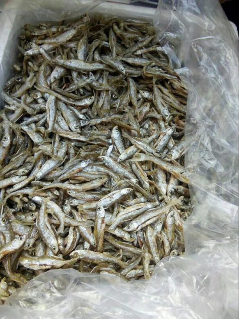 鱼干炸鱼干