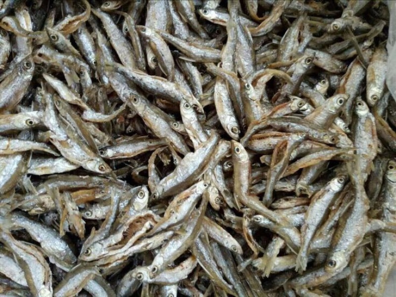 鱼干炸鱼干