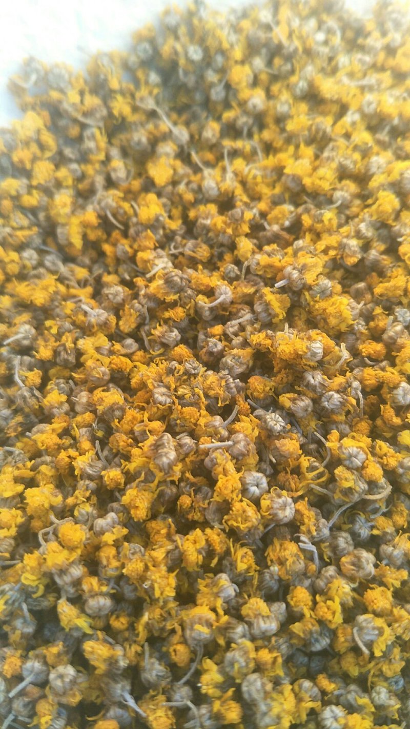 纯野生菊花茶