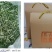 普洱生态茶