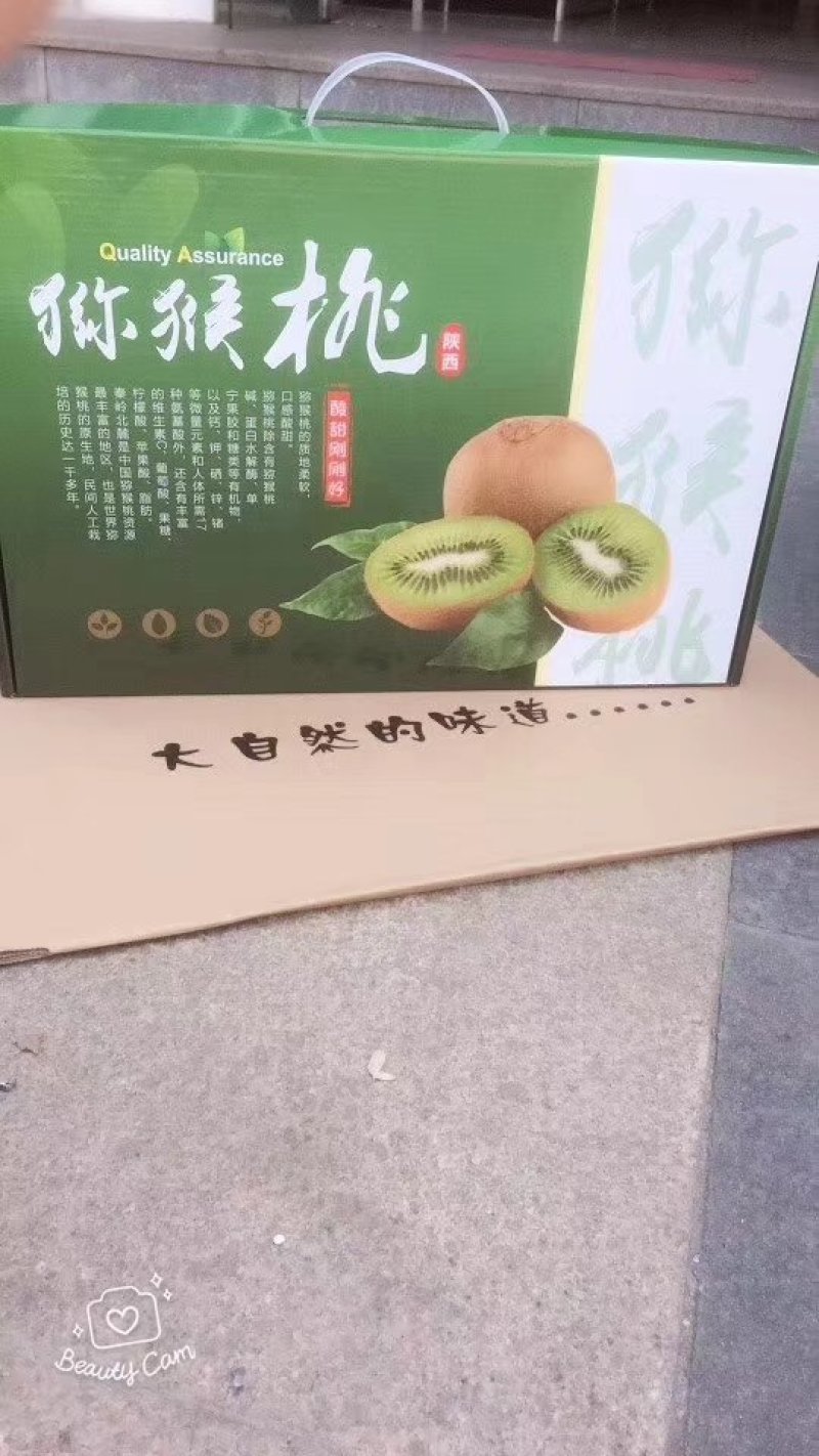 陕西眉县猕猴桃