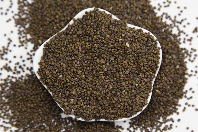 沙苑子水洗干货药用选货干净无杂质量大从优