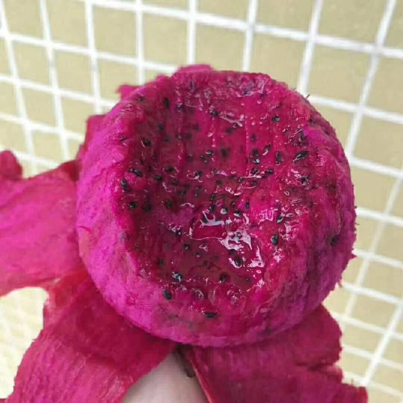 金都一号