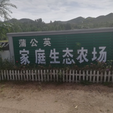 家庭生态农场出售或出租地势好手续全