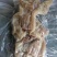 熟牛蹄筋，开袋即食。。。