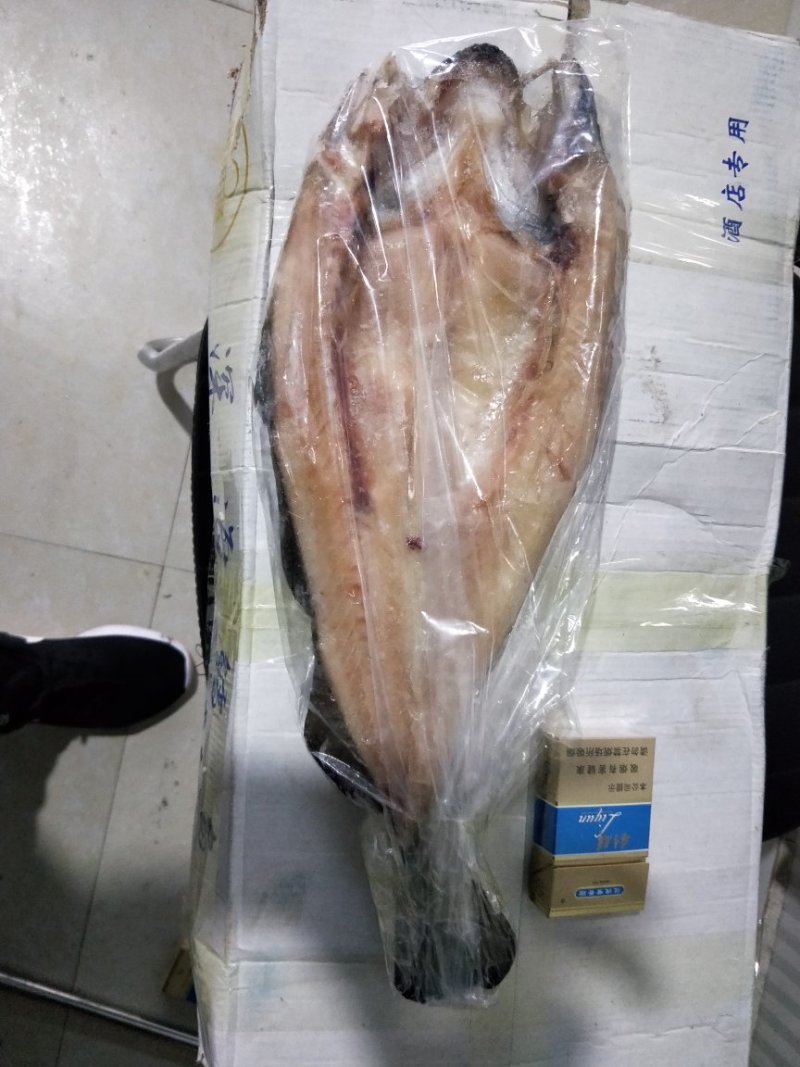 开背鱼，深海鳕鱼
